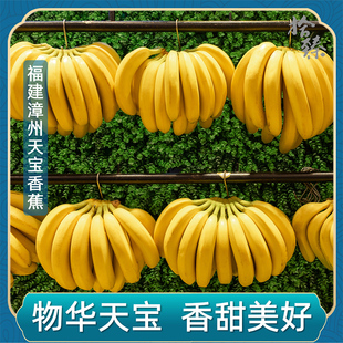 孕妇水果 5斤新鲜当季 包邮 福建漳州香甜天宝香蕉banana自然熟整箱