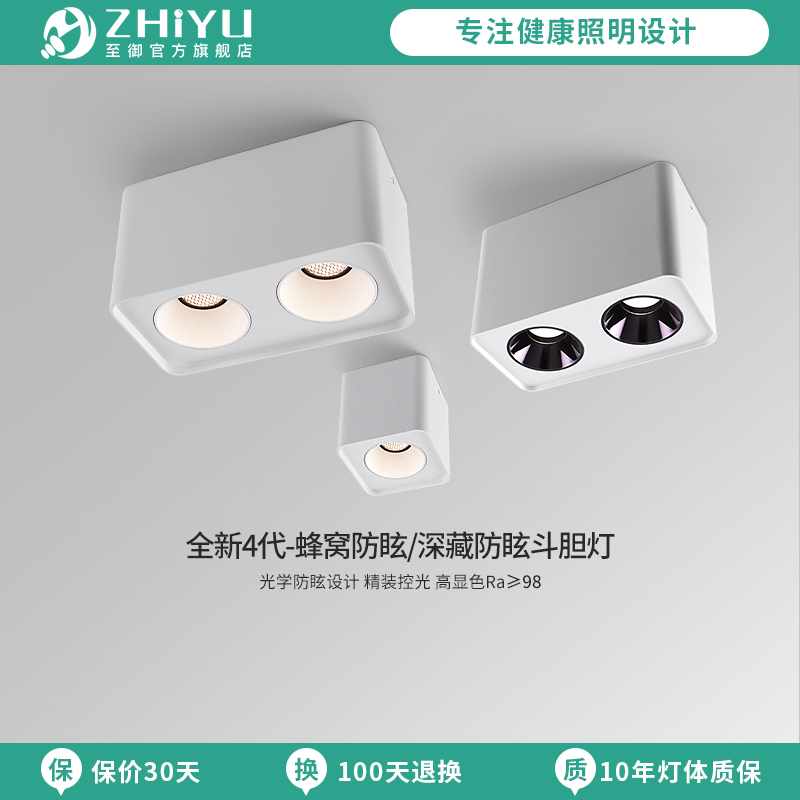 至御LED明装双头吸顶斗胆灯无主灯客厅照明四头全光谱防眩射灯273