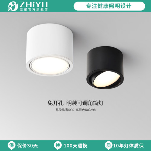 至御客厅全光谱明装筒灯