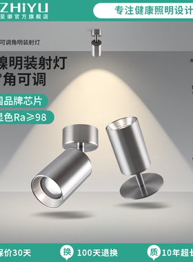 至御明装射灯银色包豪斯现代简约客厅天花照画灯过道洗墙射灯266