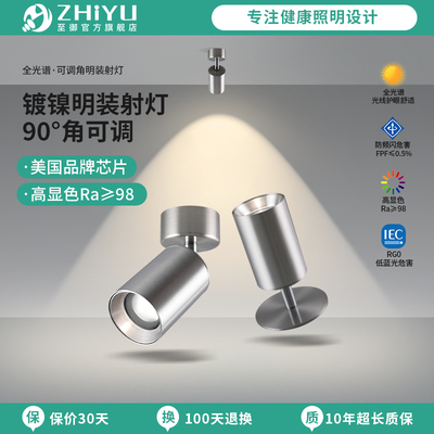 至御明装射灯银色拉丝现代简约客厅天花板灯照画 画灯过道洗墙射