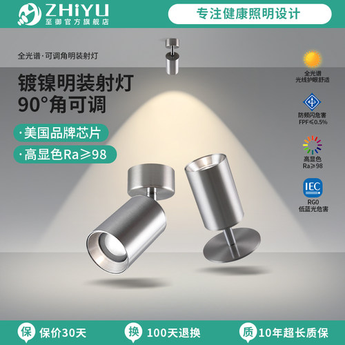 至御明装射灯银色包豪斯现代简约客厅天花照画灯过道洗墙射灯266