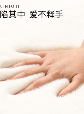 地毯卧室客厅2026新款可擦免洗仿兔毛绒床边毛毯地垫飘窗垫厚白色