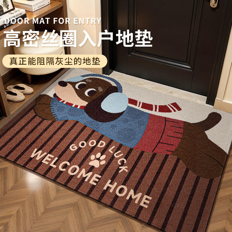 入户门地垫丝圈耐磨脚垫门垫家用