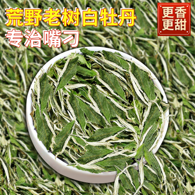 福鼎荒野老树白牡丹500克花香白茶荒山大白茶2025年明前春茶叶