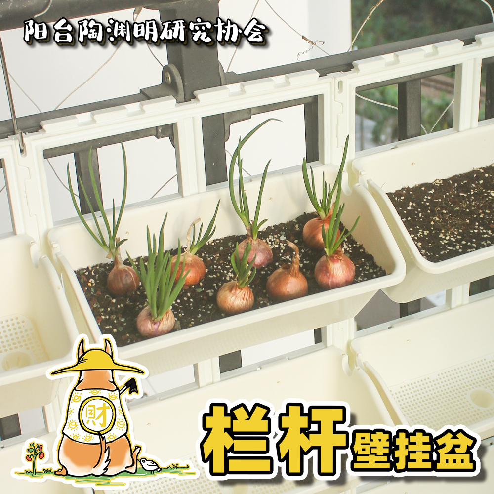 【阳台陶渊明】积木式立体种植盆