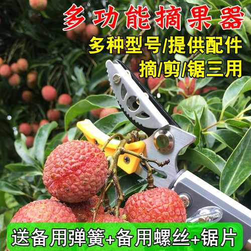 摘果神器修枝剪伸缩高空摘水果剪刀加长采摘器荔枝枇杷龙眼高枝剪