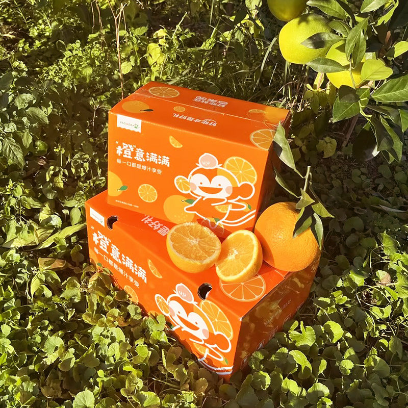 【百果园店】正宗江西赣南脐橙当季新鲜水果橙子整箱礼盒4.5/9斤