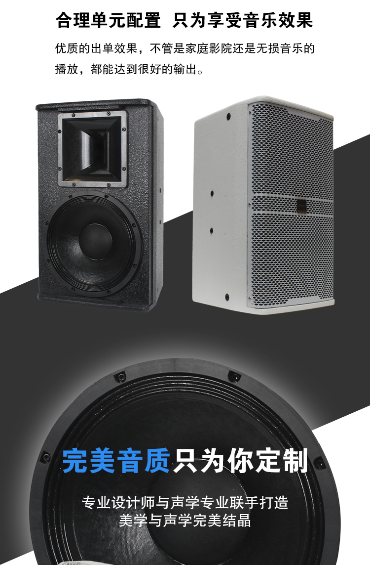 单8寸10寸12寸高端专业KTV音箱会议音响专业卡拉ok家庭(全国联保)