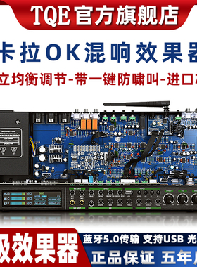 TQE/KT600 家用前级器KTV防啸叫K歌混音器器音频处理专业会议舞台