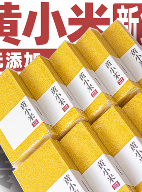 新鲜农家粘糯小米黄小米新米五谷杂粮粗粮宝宝孕妇月子粥原料真空