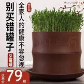 古方豆芽紫砂豆芽罐豆芽机家用实用发芽盆发豆芽神器