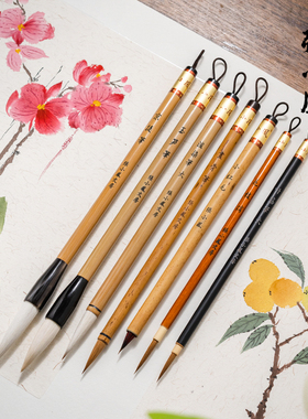 张小凤国画毛笔兼毫狼毫羊毫专用初学者套装专业工笔画白云小红毛花枝俏叶筋画笔花鸟中国画全套写意山水颜料