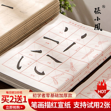 张小凤 笔画描红练字练习毛笔楷书初学临摹字帖成人毛笔字入门小学生练字帖控笔宣纸软笔书法专用初学者套装