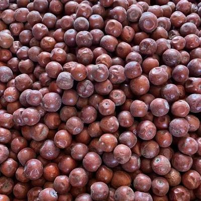 新疆和田野生酸枣红枣树上泡水吊干零食酸甜天然山枣果干酸枣仁