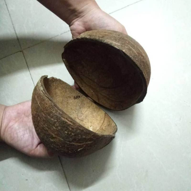 海南对半开椰子壳工艺品装饰品幼儿园diy食盆板胡乐器椰壳碗包邮