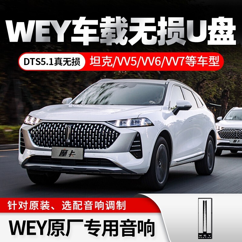 长城魏派专用车载u盘适用WEY VV5 VV5s VV6 VV7坦克30