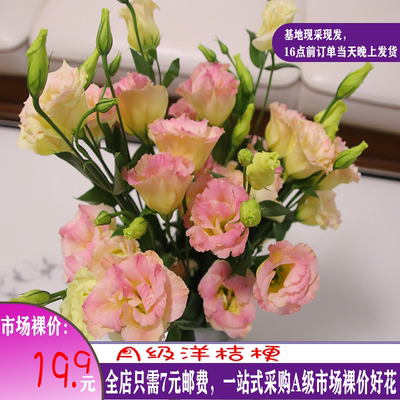 花美宜屋桔梗基地现采现发