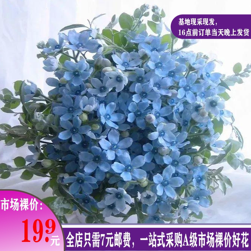 花美宜屋配花很仙的配花