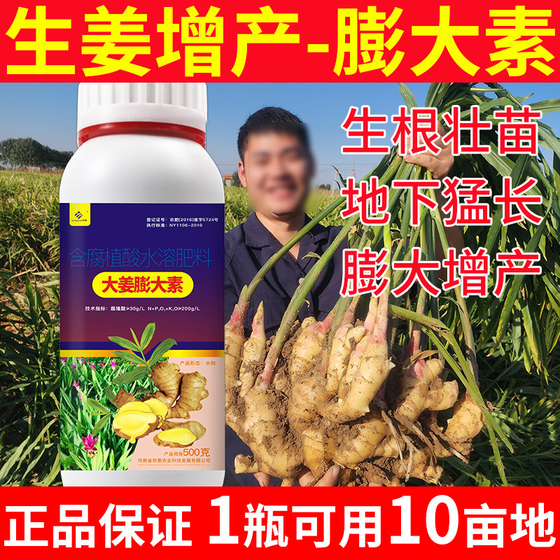 生姜专用膨大素生姜专用叶面肥生姜专用肥料大姜种姜专用肥膨大剂