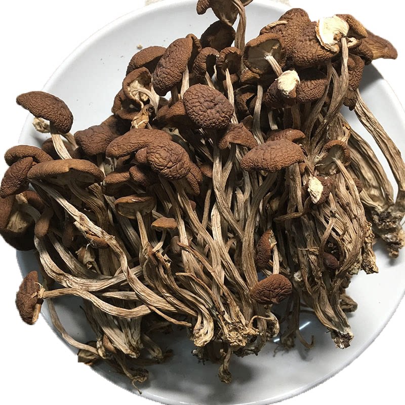 商用茶树菇不开伞散装福建菌菇