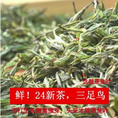 【三足鸟】永川秀芽绿茶2024新茶叶明前茶特级//重庆永荣茶厂/50g