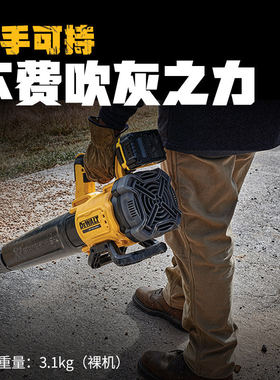 DEWALT/得伟大功率吹风机