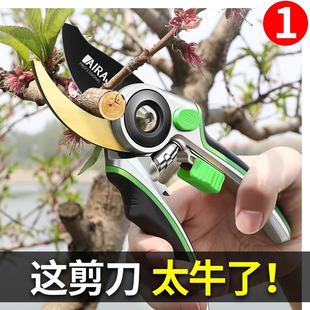 日本精工剪刀修枝剪果树多功能园艺园林花卉剪树枝专用省力花木剪