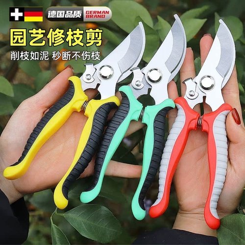 修枝剪树枝剪刀花剪枝园艺省力修剪果树竹签园林花卉专用花艺剪子