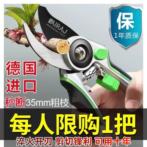 德国高端修枝剪树枝剪刀园艺专用不锈钢修花果树省力园林花卉花剪