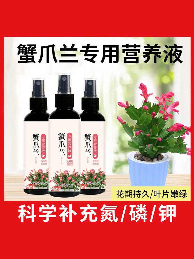 蟹爪兰专用营养液防烂根拯救黄叶通用型室内浓缩型液体肥促花开花