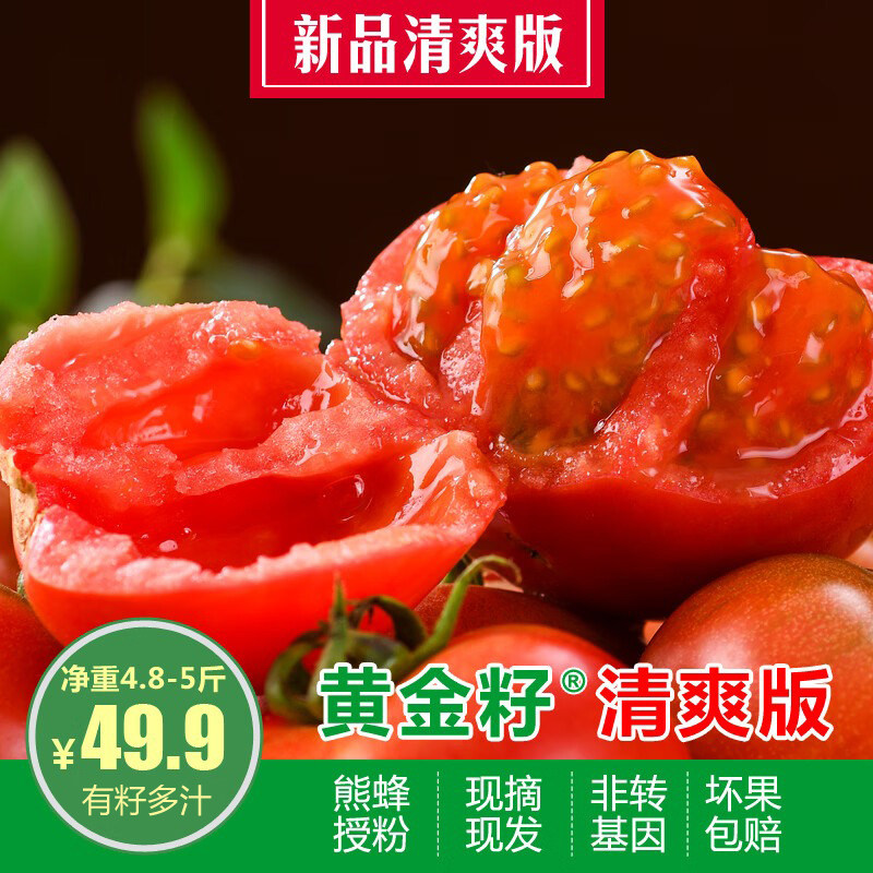 新品黄金籽番茄清爽版新鲜现摘4.8-5斤应季做菜做汤自然熟西红柿