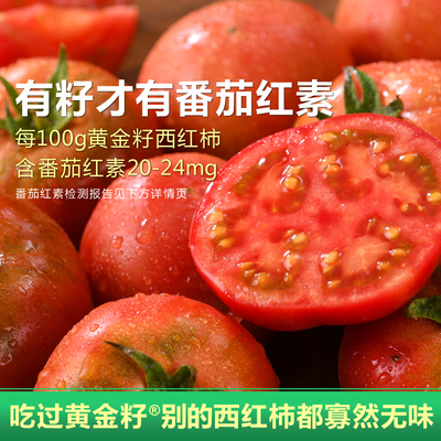 西红柿新鲜自然熟生吃番茄