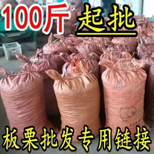 板栗批发炒锅专用生板栗油栗糖炒栗子专用迁西板栗山东板栗