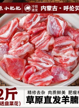 羊肉新鲜羔羊草原散养乳羔羊羊腩块2斤羊腩肉冷冻烧烤串火锅食材