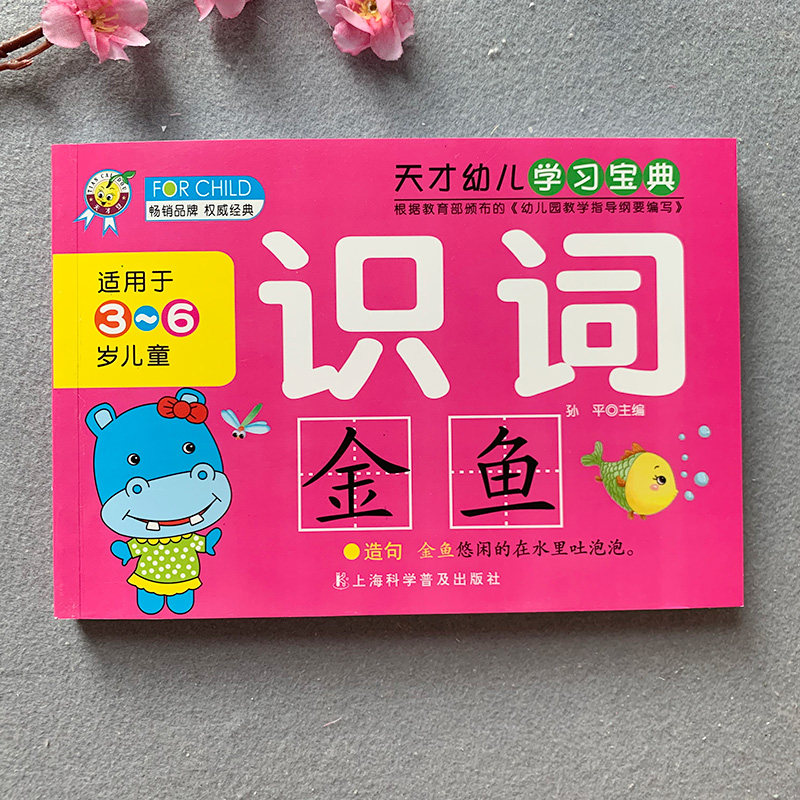 学前儿童学词语书籍2-3-4-5-6岁幼儿看图认词语带拼音词语手册宝宝学前学2个字词语汉字认字书儿童幼儿园小班中班大班一年级早教