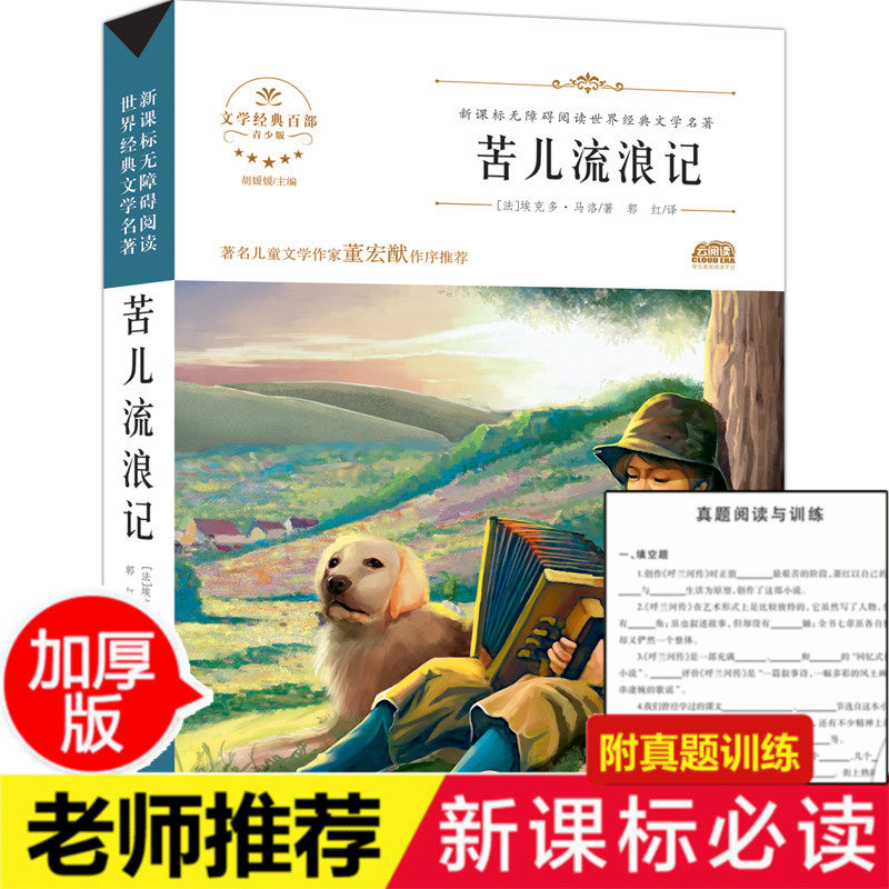 苦儿流浪记 正版 小学四年级课外书 名著 适合三四年级 小学生课外阅读书籍青少版全集五年级下册学期