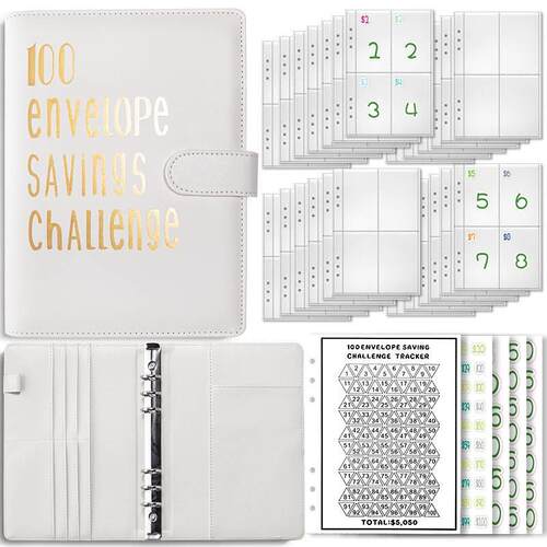 100Envelopmysavingbk