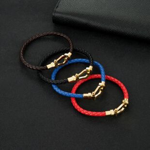 Titanium Steel Bracelet Four-color Braided Horseshoe Clasp S