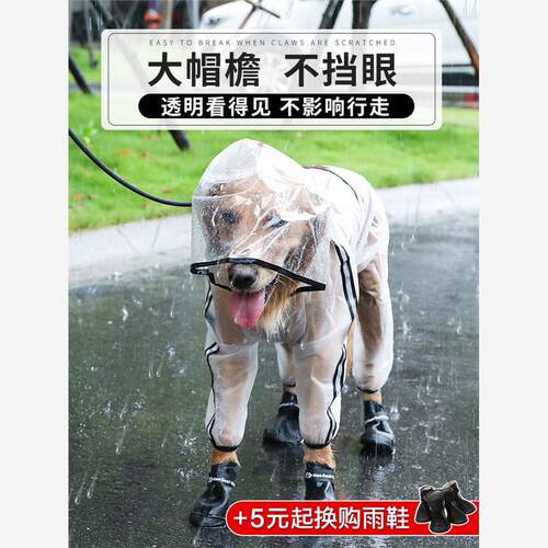 PetSmaDogLarsRainCW