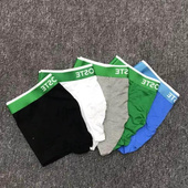 boxer silk Ice mesh men youth underwear boxers