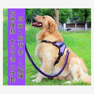 Dog leash medium large dogs walking harness collar chain set