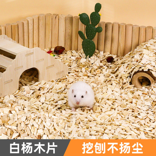 松鼠博士白杨木片轻柔细软