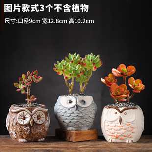 粗陶多肉花盆透气创意猫头鹰个性 陶瓷发财树盆栽简约大口径盆特价
