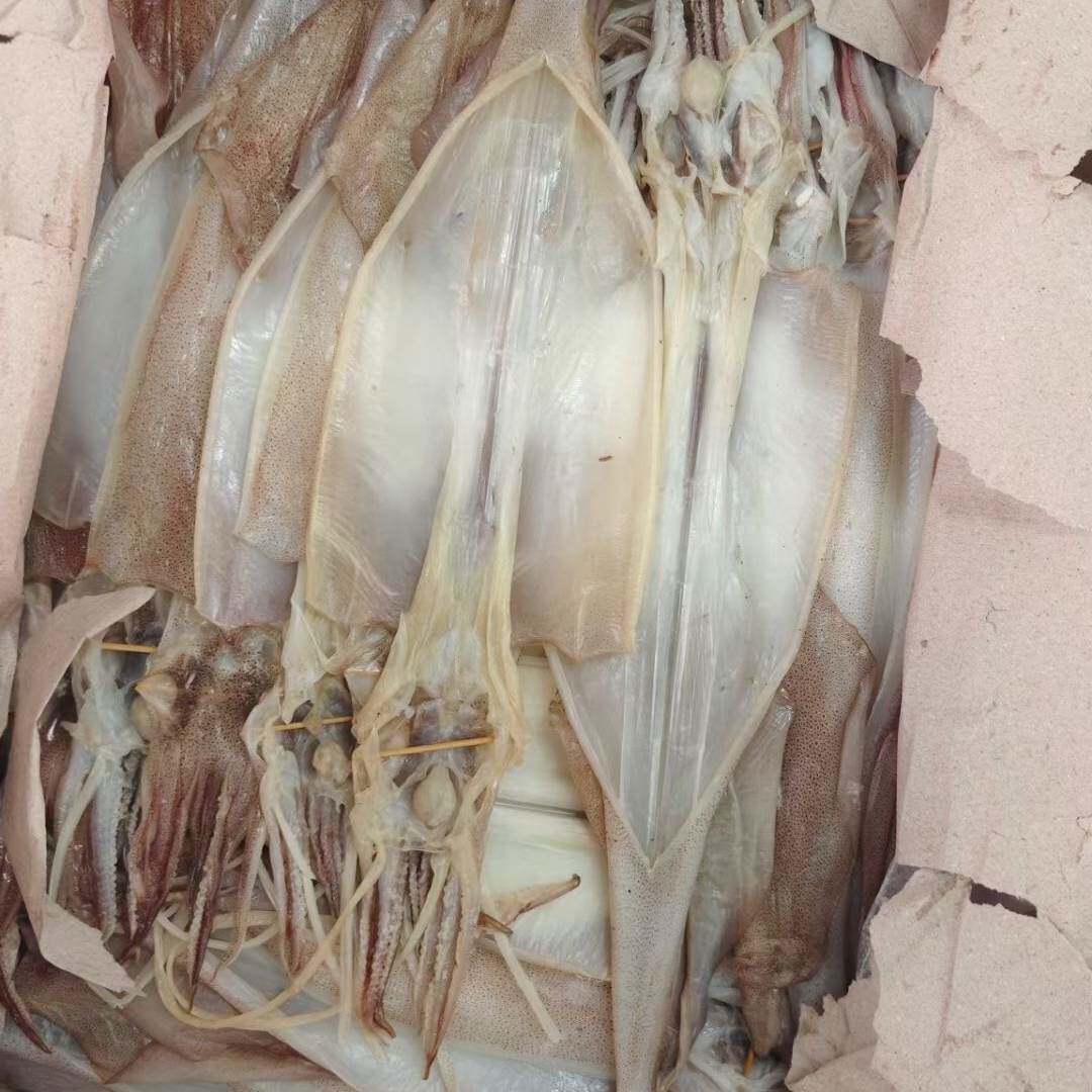 去皮本港鱿鱼特产潮汕干海味干鲜家用大号鱿煮粥煲汤炒菜送礼佳品