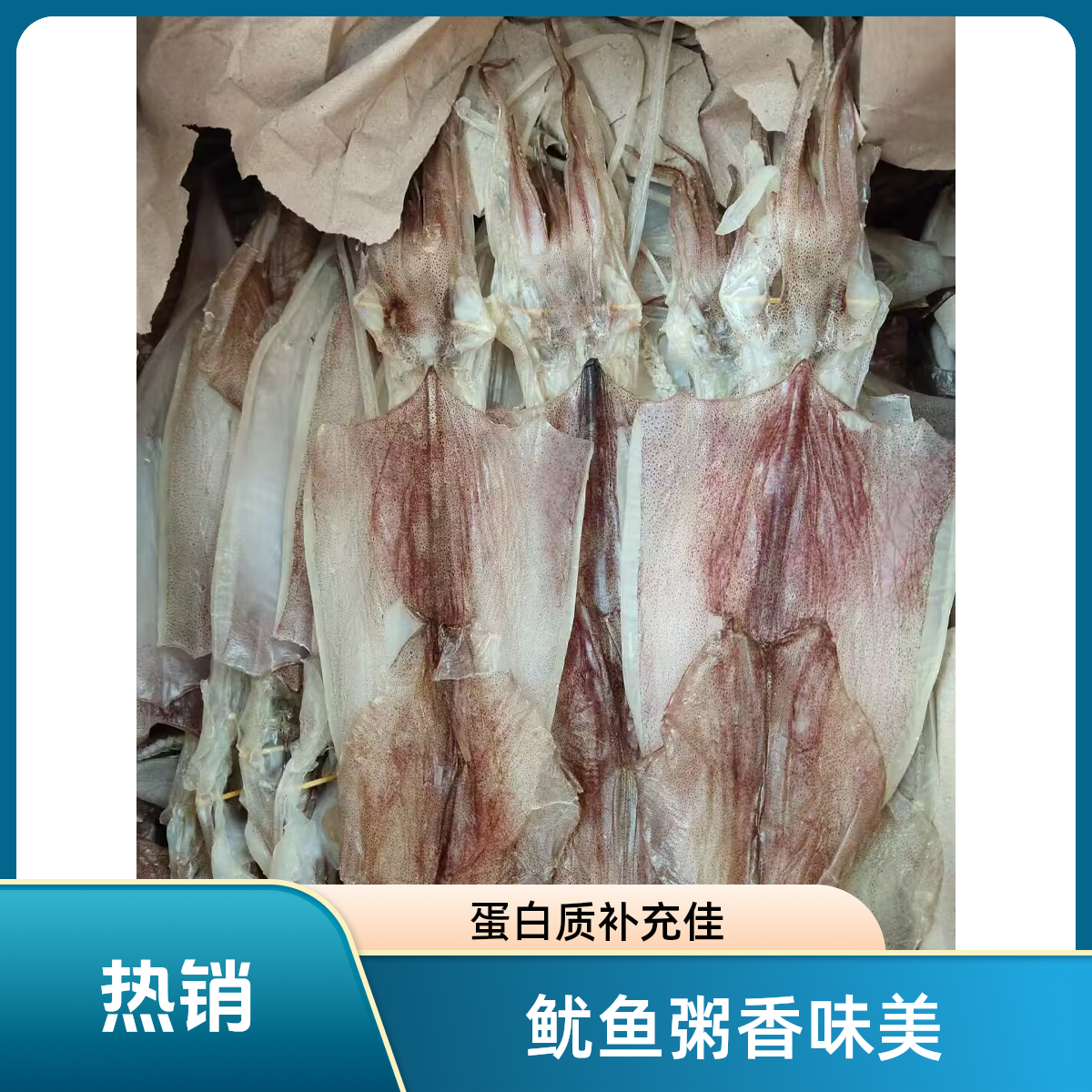 本港鱿鱼潮汕大鱿鱼新鲜冷冻煮粥煲汤美味补充蛋白质潮汕谢神送礼