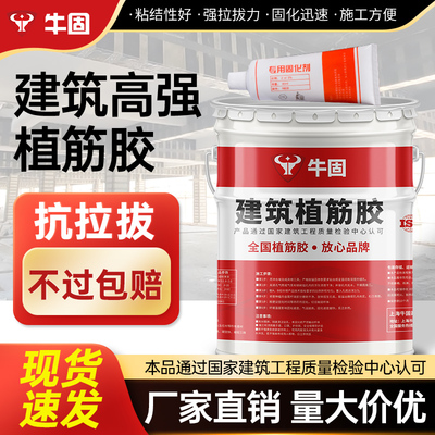 工厂植筋胶建筑用快干加固工程