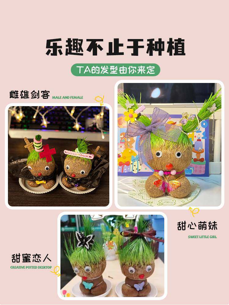 草头娃娃头上长草小人盆栽水培植物好养活长头发绿植儿童观察生长