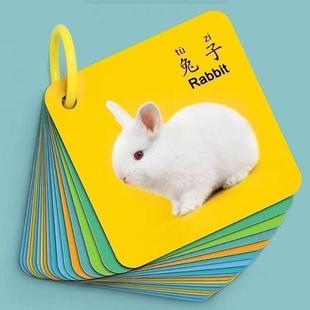 圆点数字卡片1-20幼儿园小班中班大班教学正数背点塑料材质可水洗