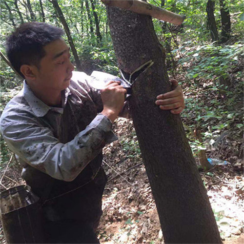 肖氏生漆棺材寿材专用土漆已过滤